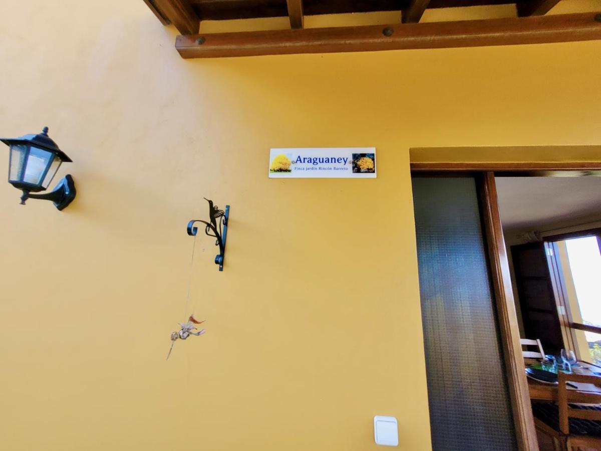 Apartament Bollullo Sunset - Araguaney La Orotava Zewnętrze zdjęcie